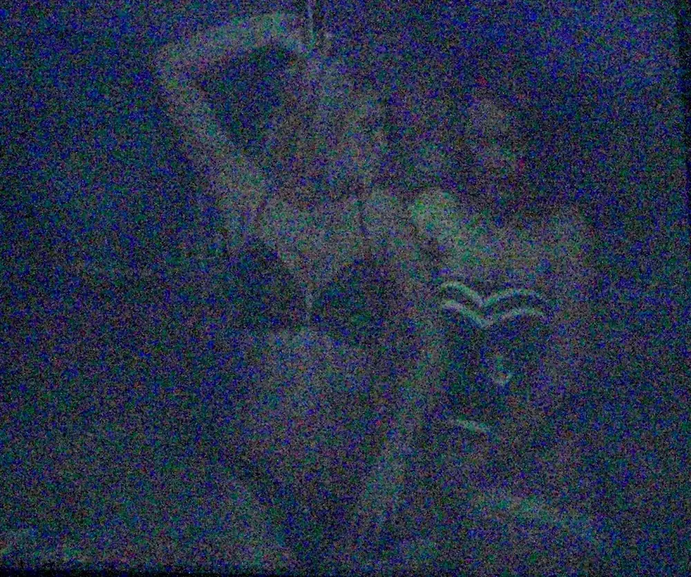 Erots 2009 — 6