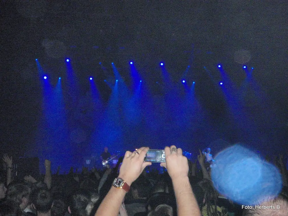 Limp bizkit — 36
