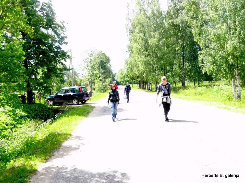 Zied ievas sigulda — 24