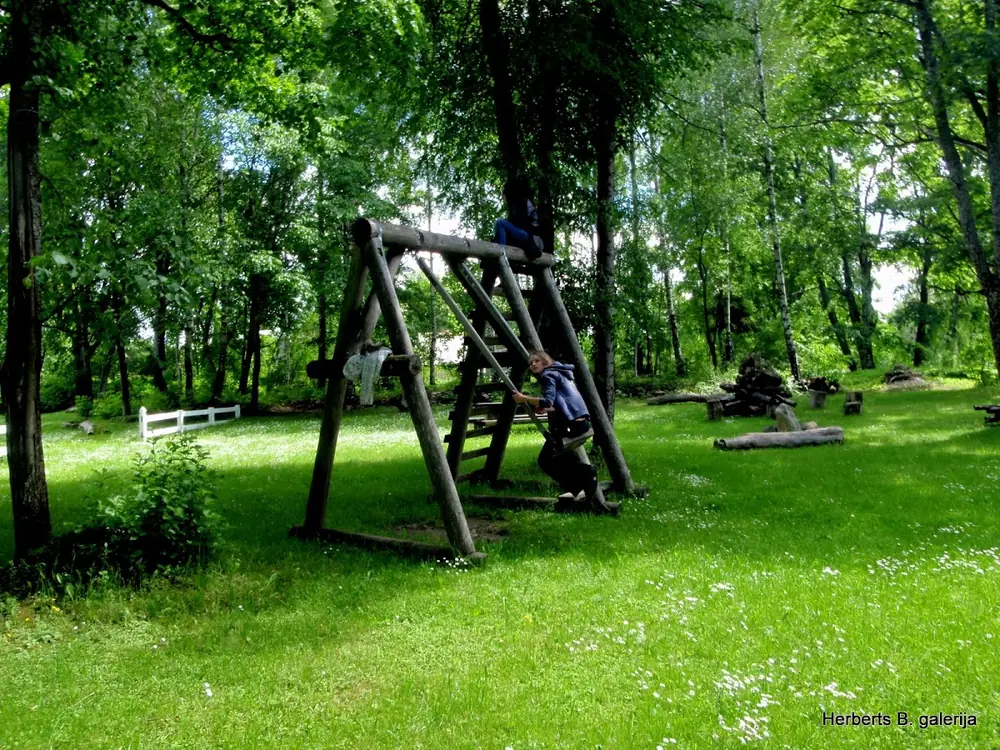 Zied ievas sigulda — 29