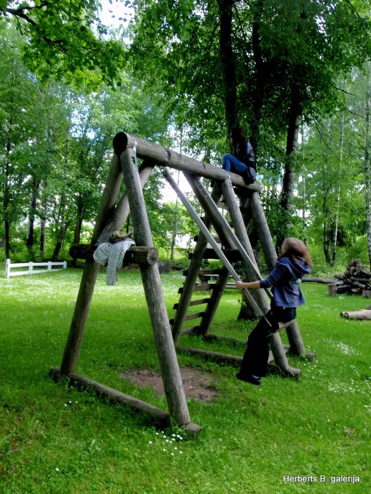 Zied ievas sigulda — 30