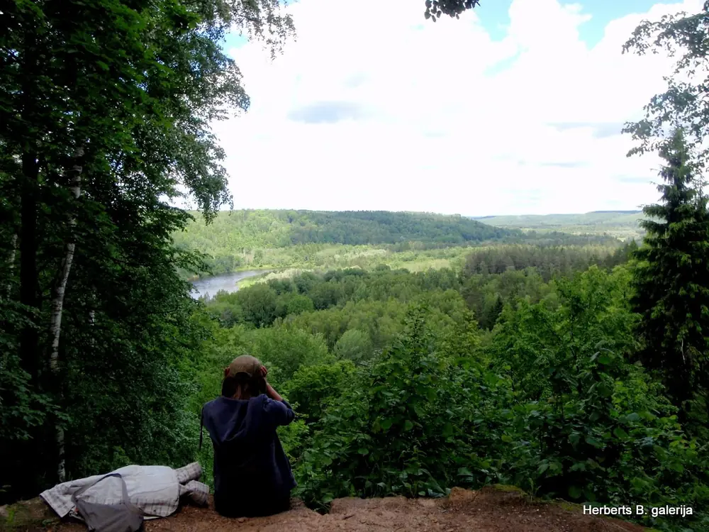 Zied ievas sigulda — 33