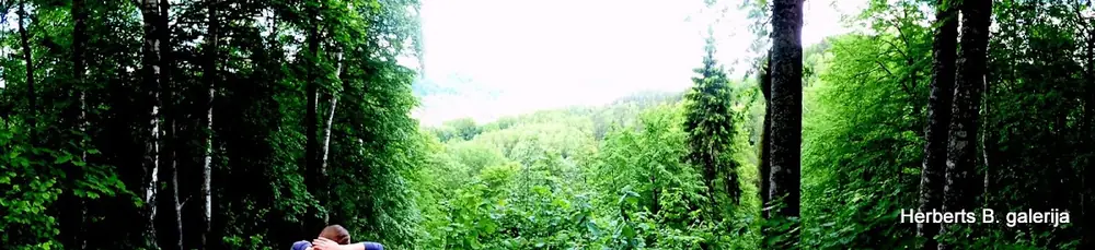 Zied ievas sigulda — 34