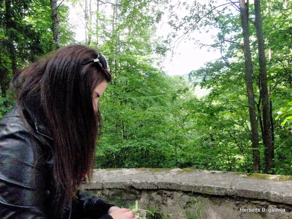 Zied ievas sigulda — 35