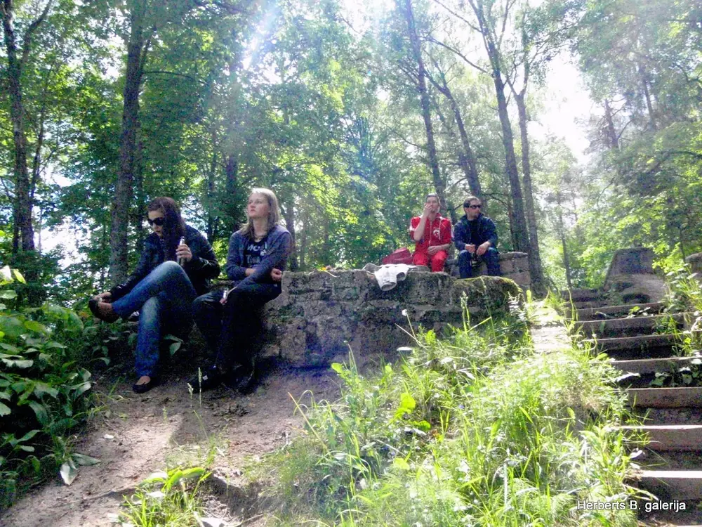 Zied ievas sigulda — 37