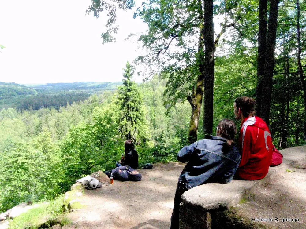 Zied ievas sigulda — 40