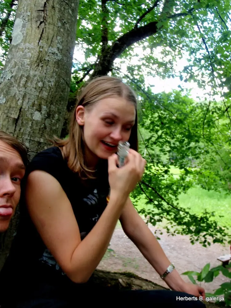 Zied ievas sigulda — 47