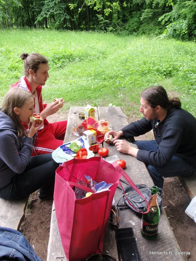 Zied ievas sigulda — 52