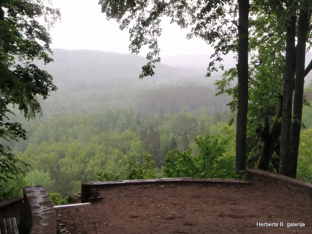 Zied ievas sigulda — 54