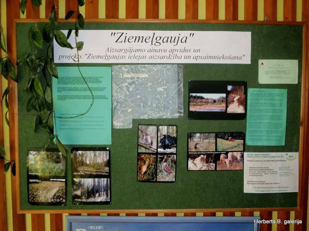 Celojums uz brenguliem — 12