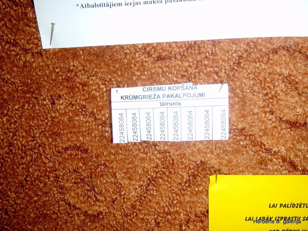 Celojums uz brenguliem — 13