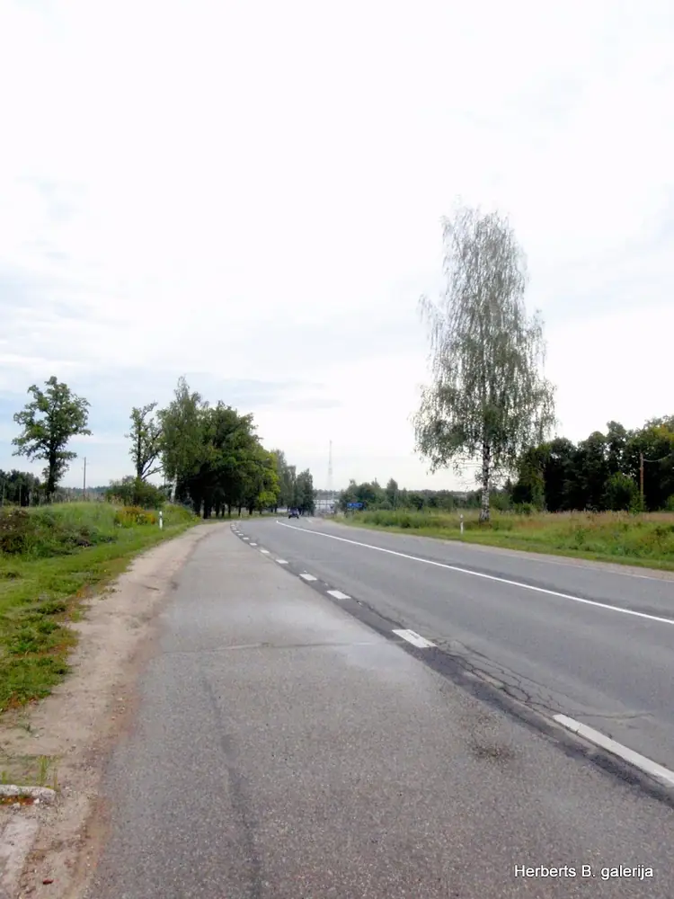 Ka netikt majas no brenguliem — 68