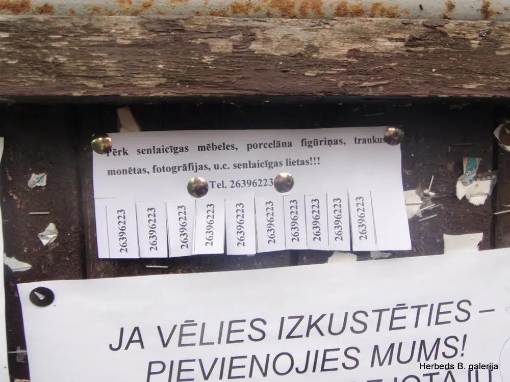 Spidola dodas uz ziemas gulu — 36