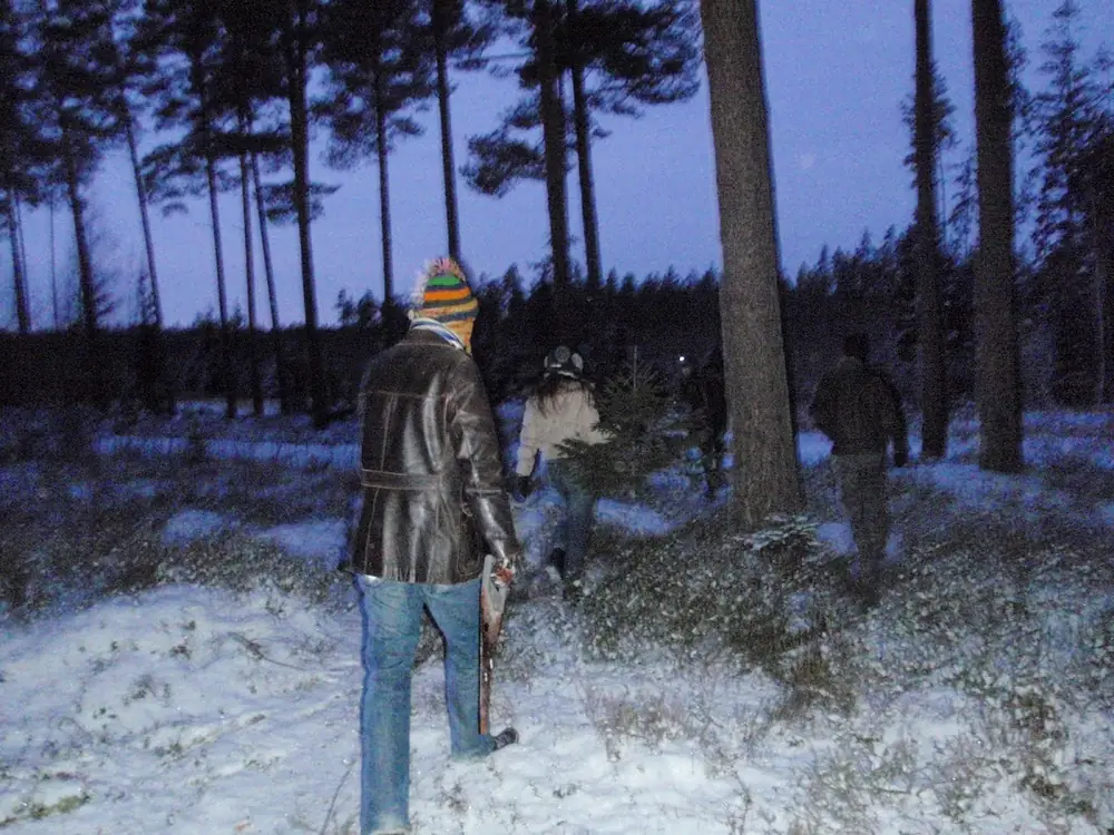 Leningradas eglites meklejumos — 18