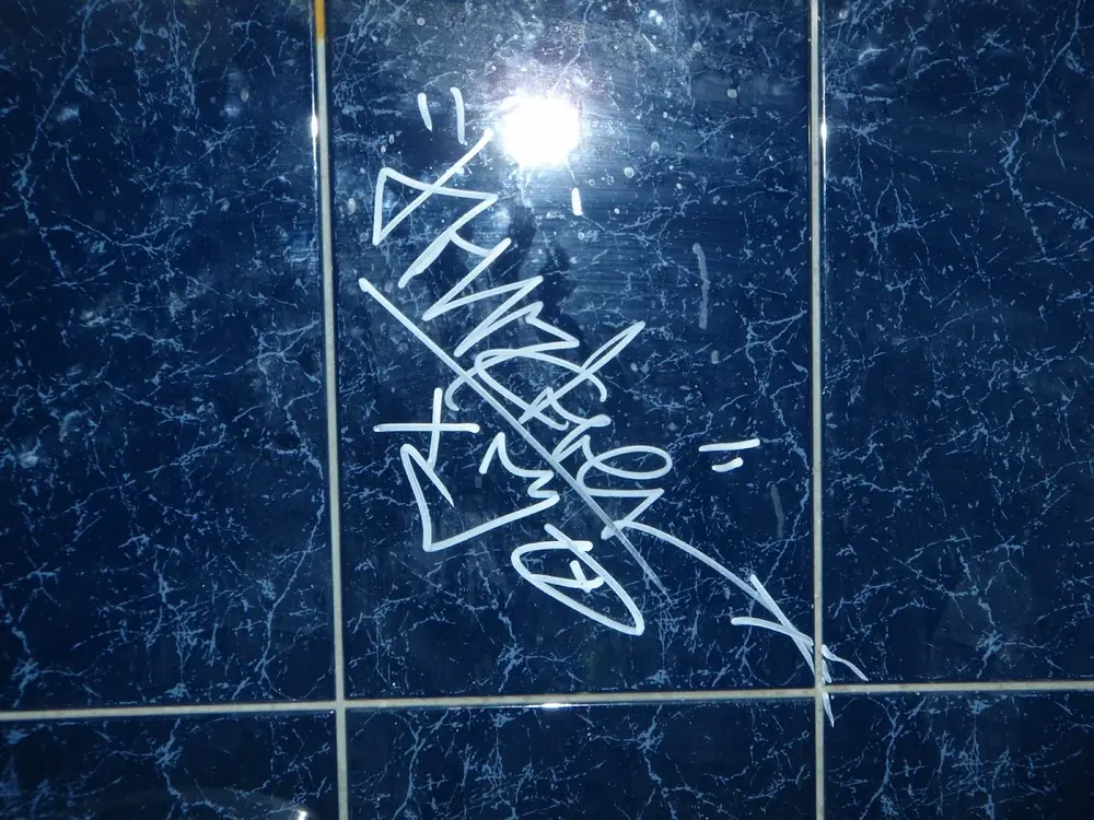 Alko foto — 18