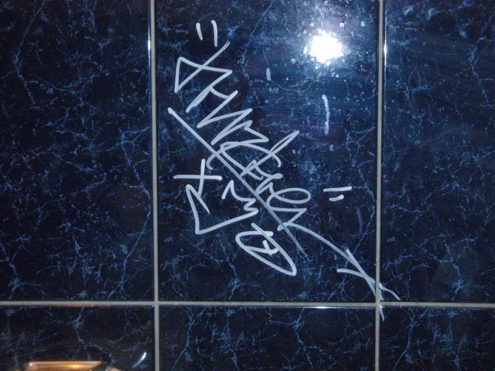 Alko foto — 19