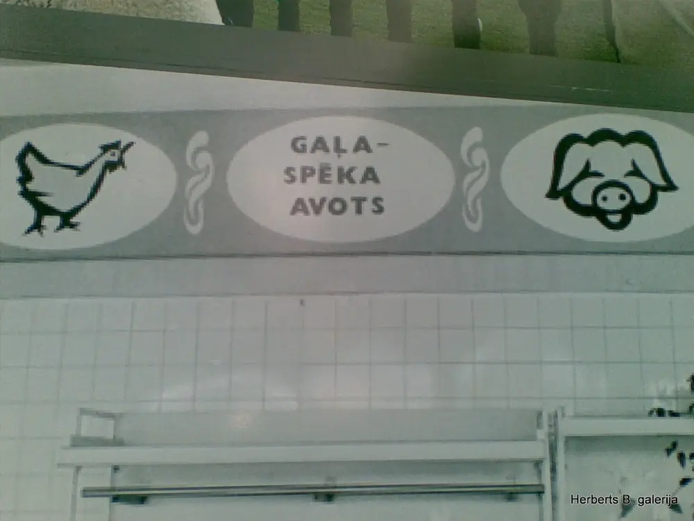 Alko foto — 61