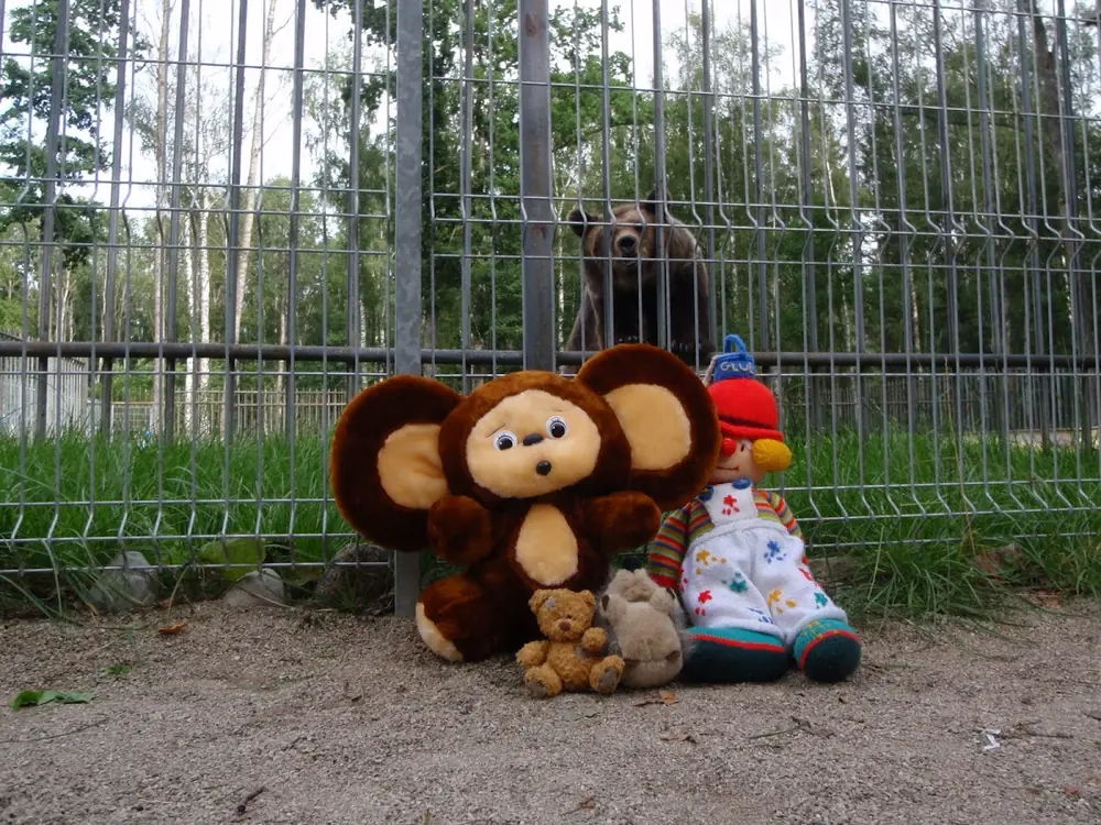 Sziget 2008 — 2