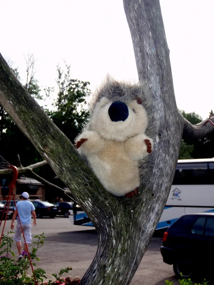 Sziget 2008 — 18