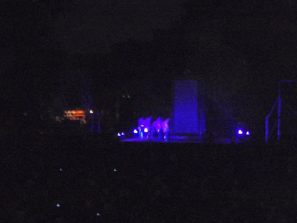Sziget 2008 — 276