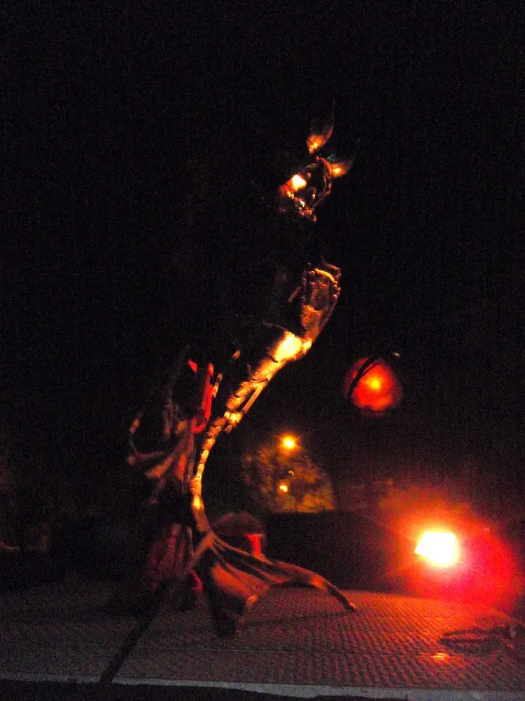 Sziget 2008 — 350