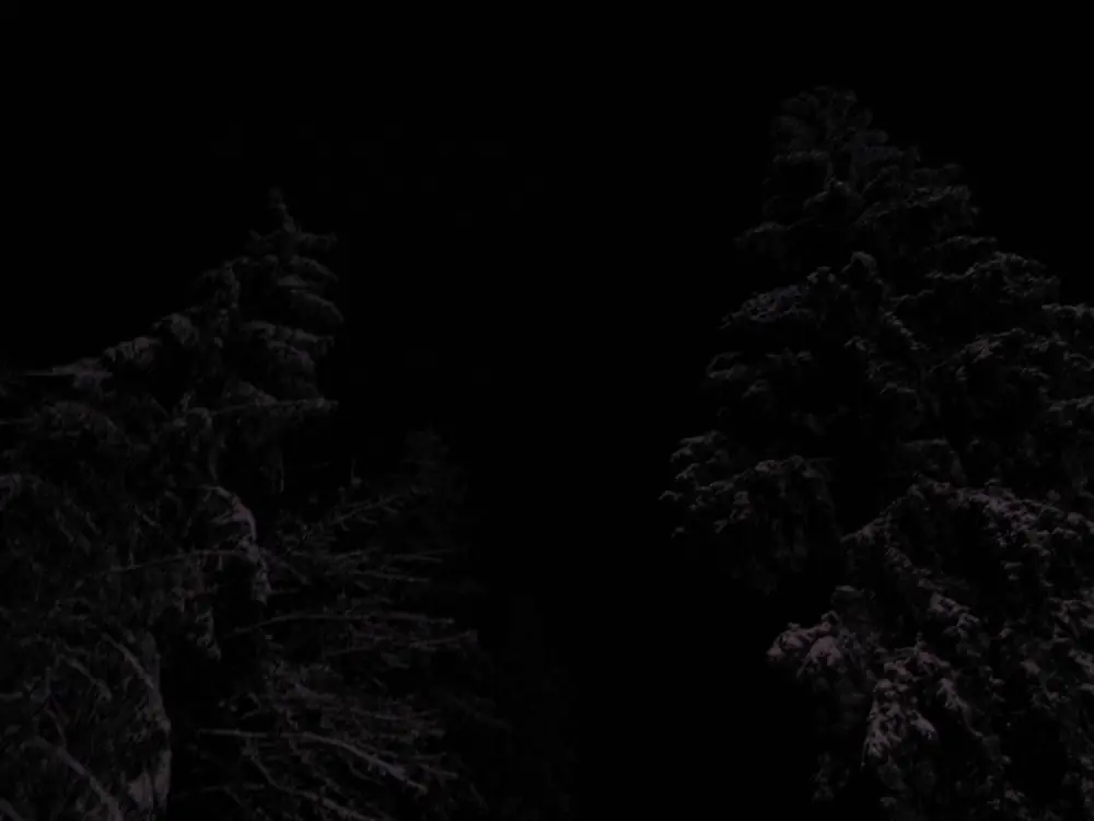 Ziemas nometnite gandriz munamegi — 14