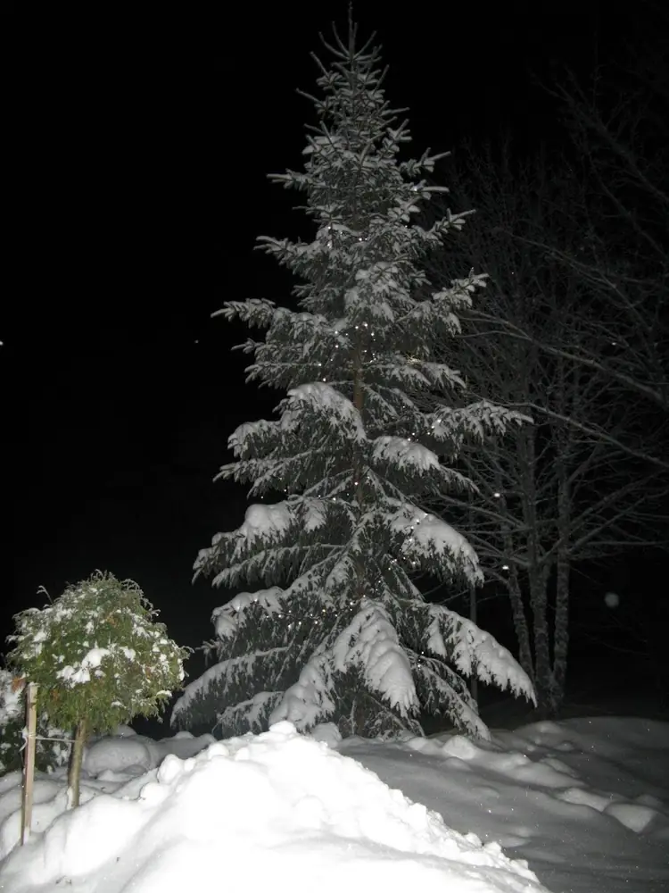 Ziemas nometnite gandriz munamegi — 60