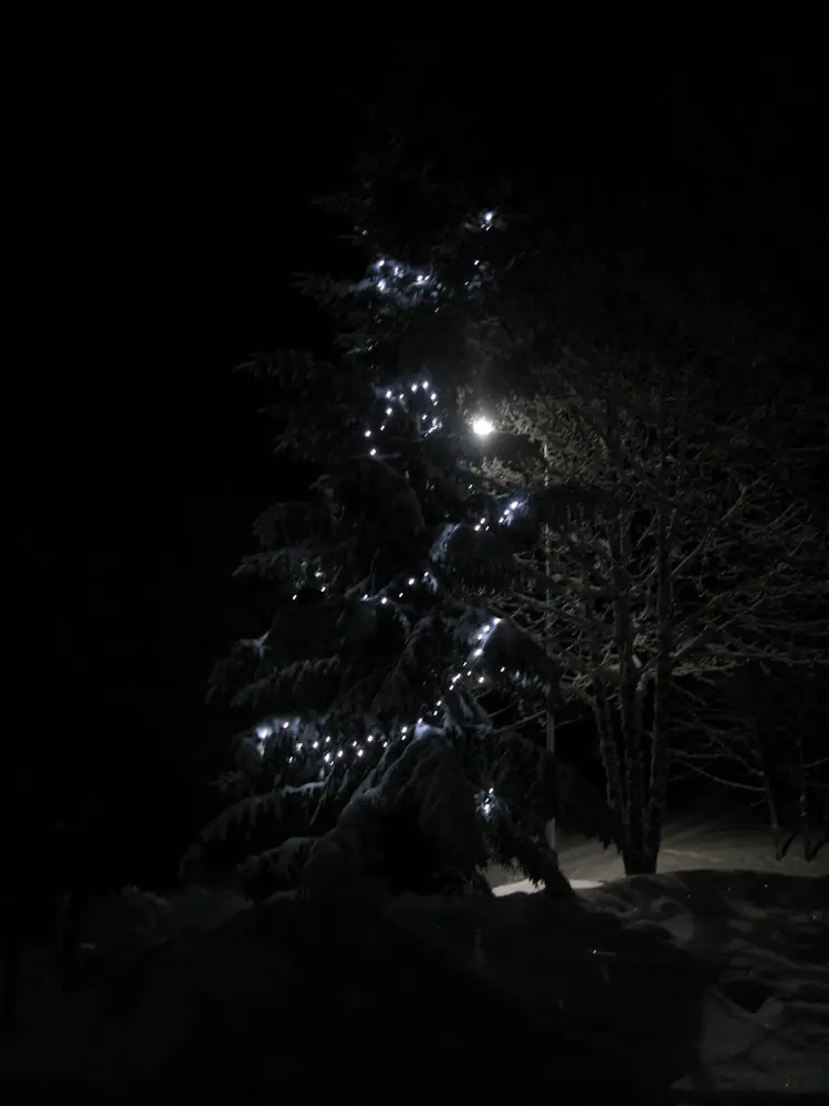 Ziemas nometnite gandriz munamegi — 61