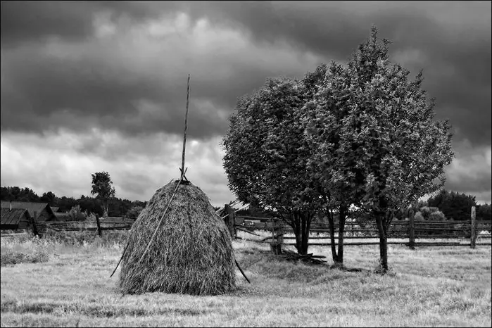 Pusdienas 2020.08.12.