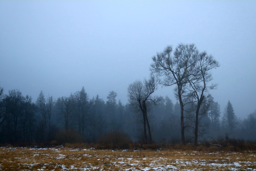 Silakrogs fotogrāfijas