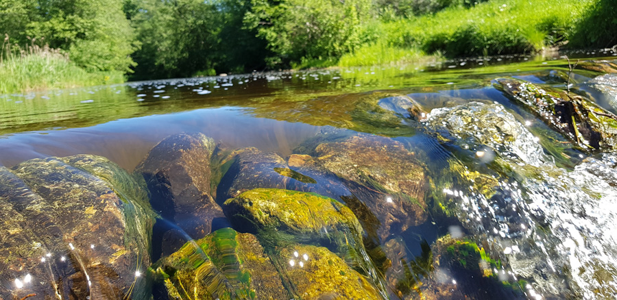 Silakrogs fotogrāfijas