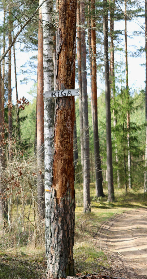 Silakrogs fotogrāfijas