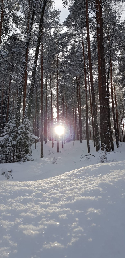 Silakrogs fotogrāfijas