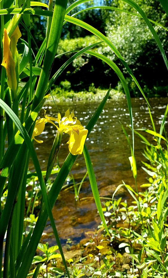 Silakrogs fotogrāfijas